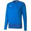 Puma Sport Sweatshirts Für Herren