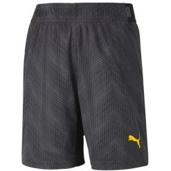 Puma Jungen Fußballshorts