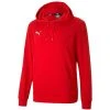 Puma TeamGOAL 23 Causals Hoody