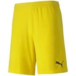 Puma TeamFINAL 21 Knit Shorts