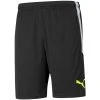 Puma TEAMLIGA TRAINING SHORTS - 657249