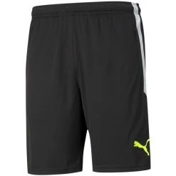 Puma TEAMLIGA TRAINING SHORTS - 657249