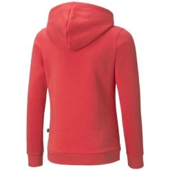 Puma ESS LOGO HOODIE FL G - 587031