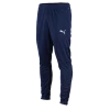 Puma TEAMRISE POLY TRAINING PAN - 657390