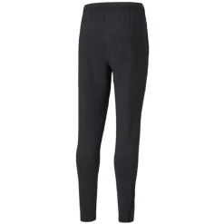Puma INDIVIDUALCUP TRAINING PAN - 657662