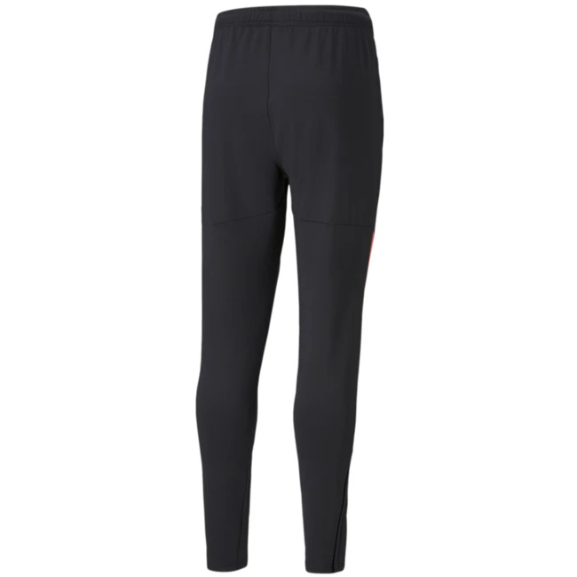 Puma INDIVIDUALCUP TRAINING PAN - 657662 1 Puma INDIVIDUALCUP TRAINING PAN - 657662