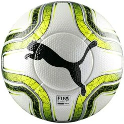 Puma Final 1 Statement