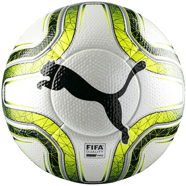 Puma Final 1 Statement 1 Puma Final 1 Statement