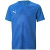 Puma Jungen Fan-Trikots