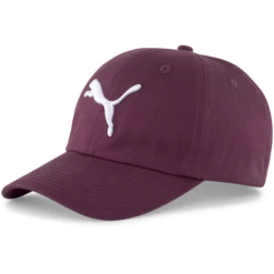 Puma ESS