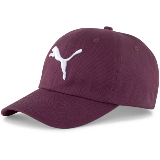 Puma ESS 1 Puma ESS