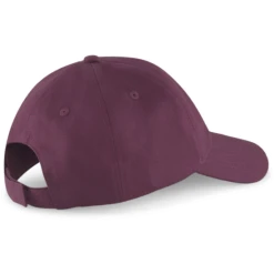 Alternative view of Puma ESS