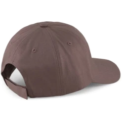 Alternative view of Puma ESS