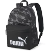 Puma Phase AOP