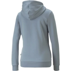 Alternative view of Puma ESS Logo FL (s)