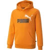 Puma ESS 2 COL BIG LOGO HOODI - 586987