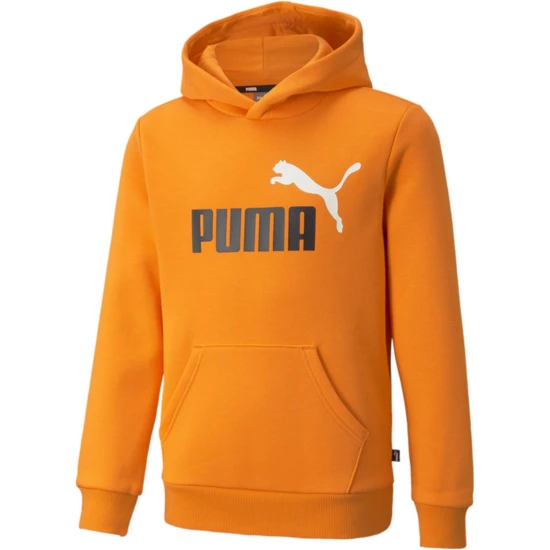 Puma ESS 2 COL BIG LOGO HOODI - 586987 1 Puma ESS 2 COL BIG LOGO HOODI - 586987