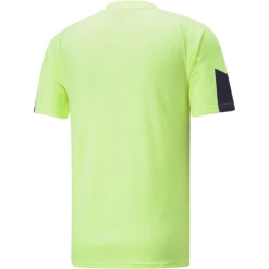 Alternative view of Puma IndividualFINAL