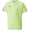 Puma IndividualFINAL