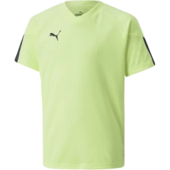Puma IndividualFINAL