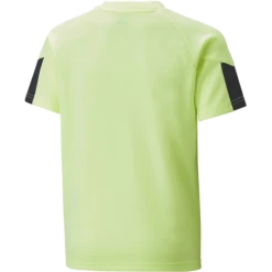 Alternative view of Puma IndividualFINAL