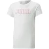 Puma RT Favorites Tee G
