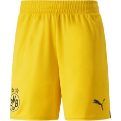Puma BVB Replica