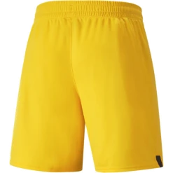 Alternative view of Puma BVB Replica