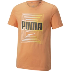 Puma Alpha Graphic Tee B