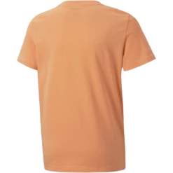 Alternative view of Puma Alpha Graphic Tee B