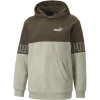 Puma Power Winterized